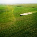 agriculture fertilizer ukraine